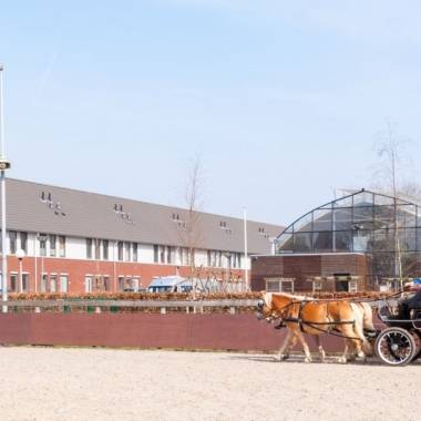 Dagbestedingslocatie Manege Craeyenburch