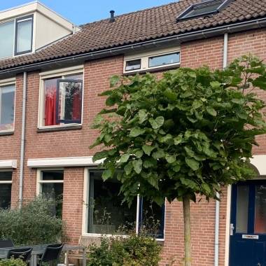 Zwaluw 31 in Bodegraven