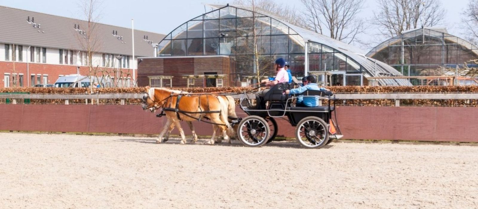 Paardrijden met de koets bij manege Craeyenburch in Nootdorp