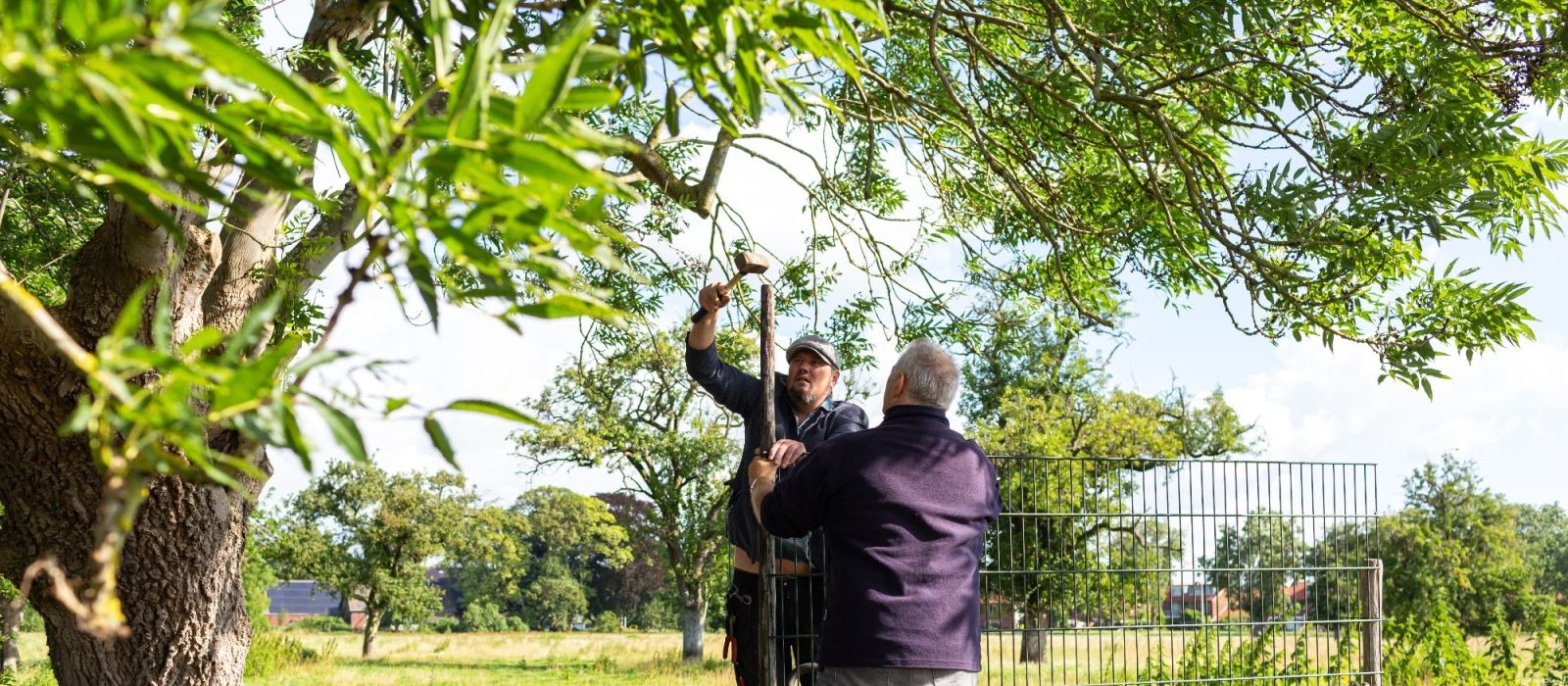 Cliënten aan het werk in het groen
