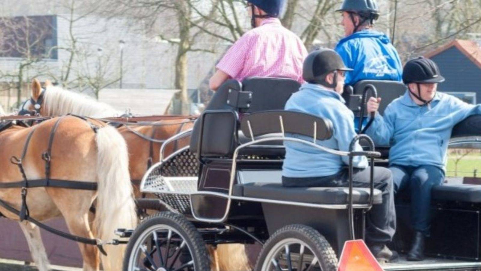 Paardrijden met cliënten