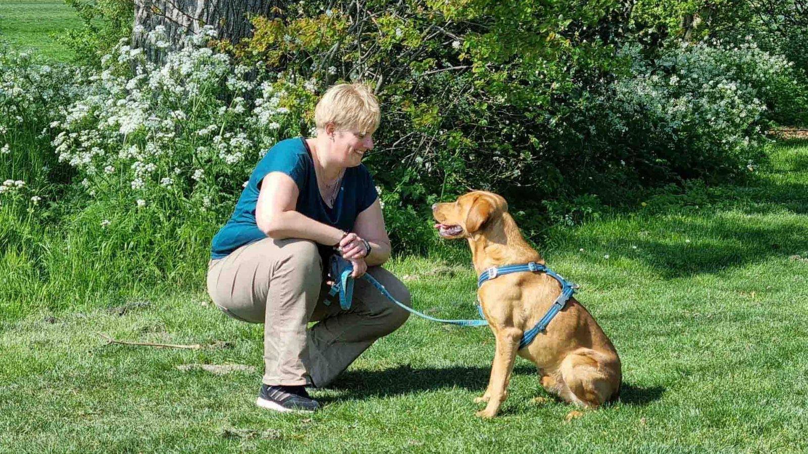 Hoe honden helpen in de zorg