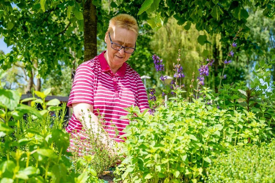 Plantjes verzorgen bij dierenpark De Driespan in Schiedam