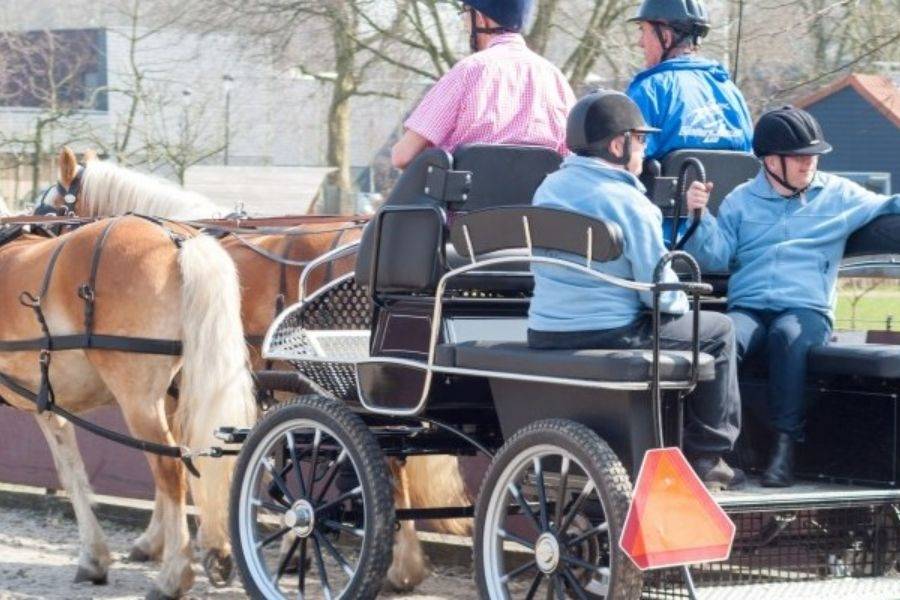 Paarden met koets van manege Craeyenburch