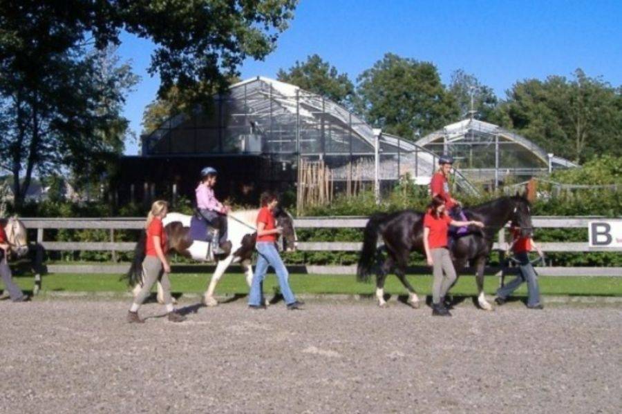 Paardrijles bij manege Craeyenburch