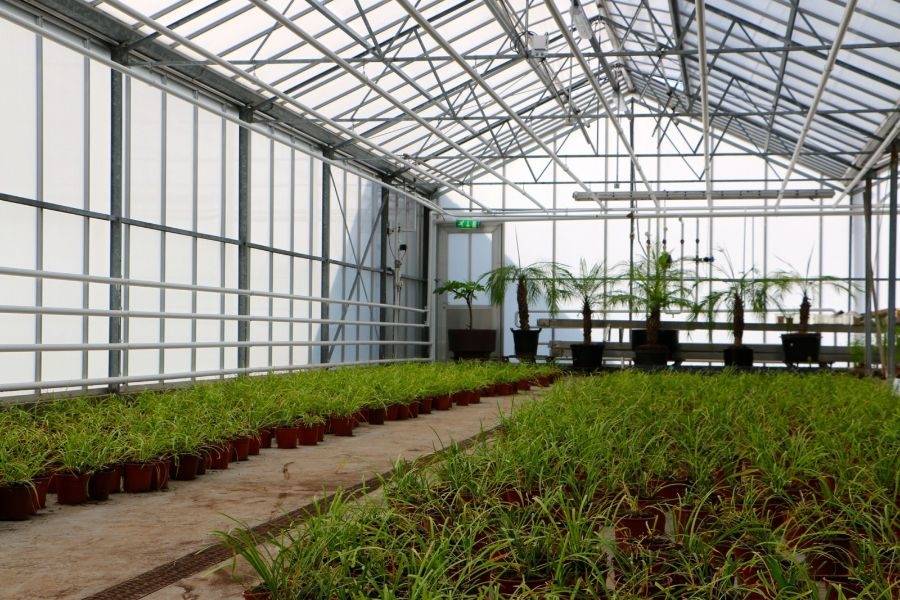 Plantenkas op landgoed Hooge Burch in Zwammerdam