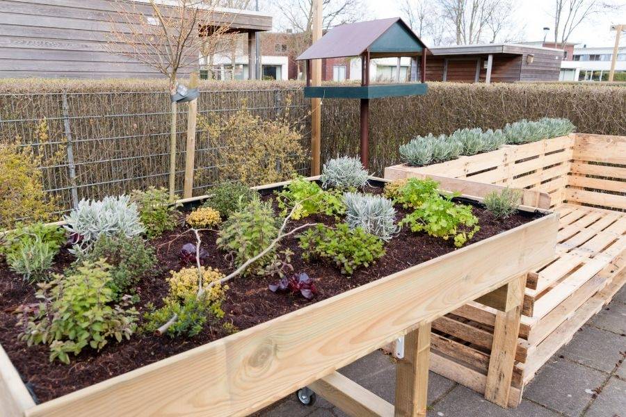 Tuin woonlocatie Zwanenburch 2-8 in Nootdorp