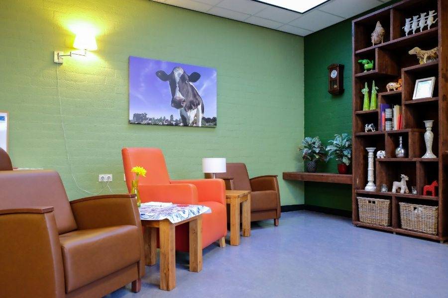 Woonkamer woonlocatie Zuideinde 411 in Zwammerdam