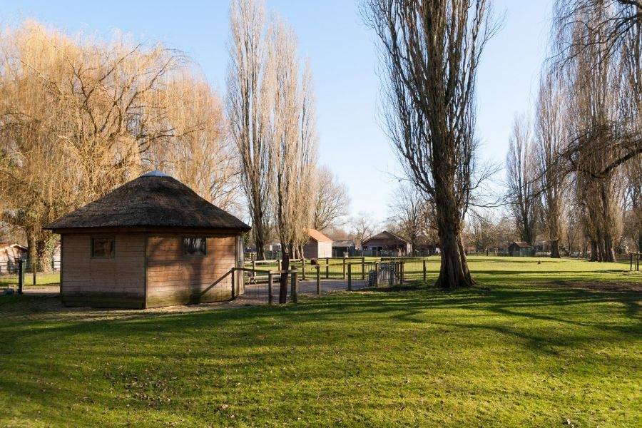 Kinderboerderij in de buurt van woonlocatie Ceder 6 in Nieuwveen